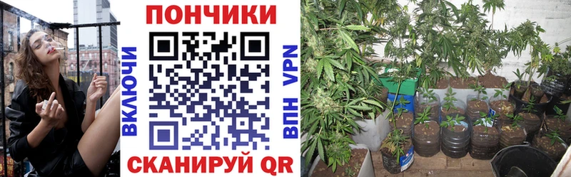Каннабис OG Kush Жуковка